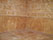 Travertine Shower Floor with Travertine wall tile